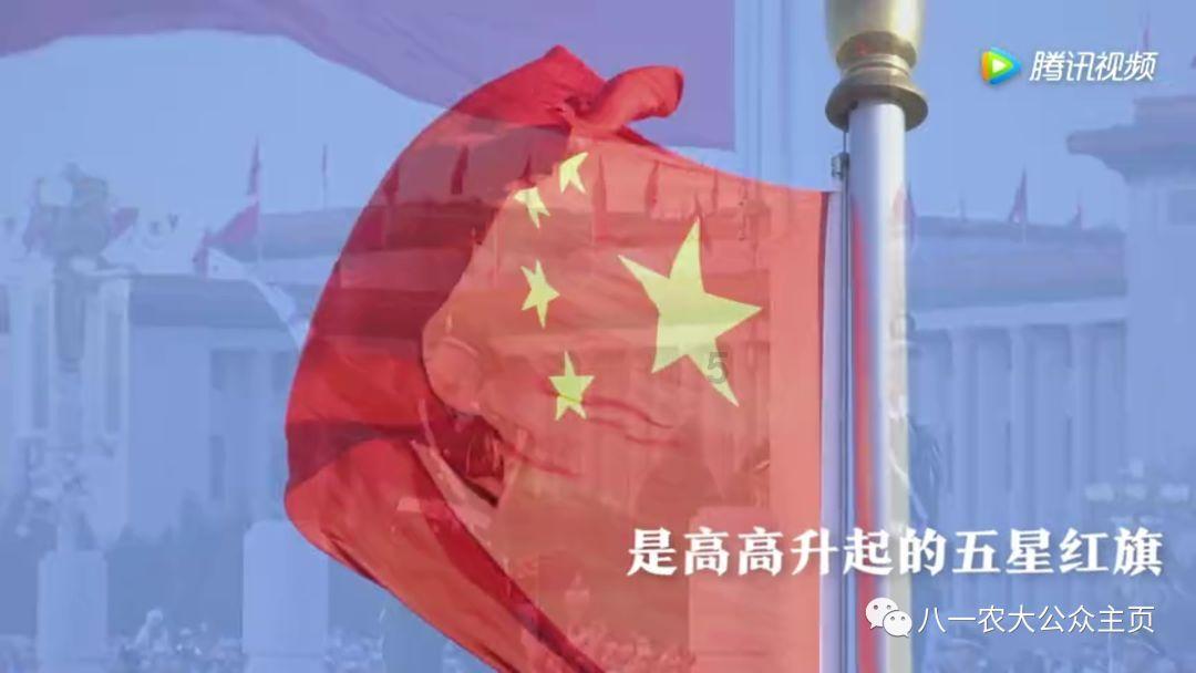 小猫钓鱼正版下载中文版